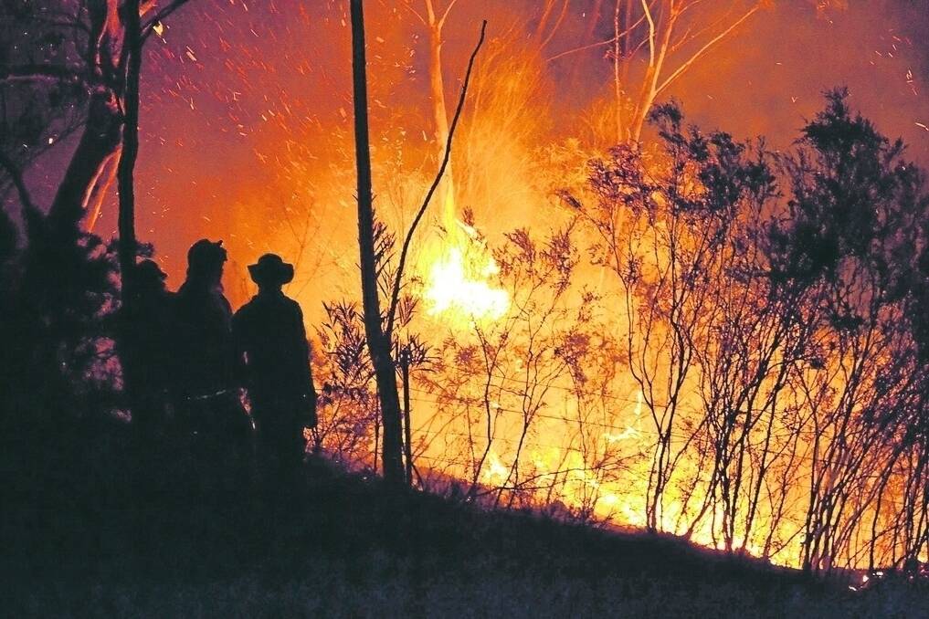 In October last year, bushfires decimated more than 65,000ha in the Greater Blue Mountains area of NSW, making them the state’s worst fires since the 1960s. Photo: Kim Chappell.