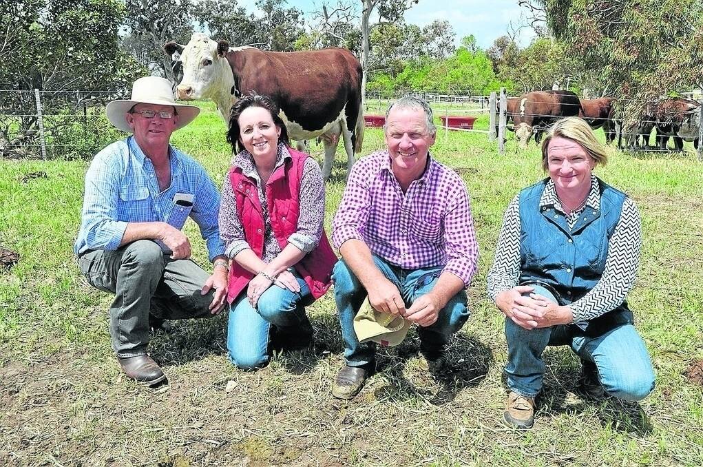 Andrew and Lee Green, Red Hill stud, Euroa, Vic, outlaid the $16,000 top for Cannawigra X8 Juno B43. They are with stud principals David and Katrina Copping, Avenue Range.