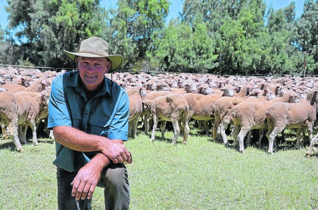 Andrew Boss, Pine Camp Station, Wentworth, NSW, bought a large number of ewes at the Yelta store sale in Vic.