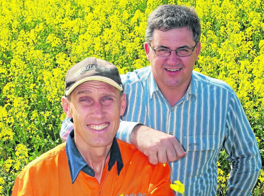 Mallee farmers Robin Schaefer and John Gladigau are on their sixth harvest at their collaborative farming venture, Bulla Burra.