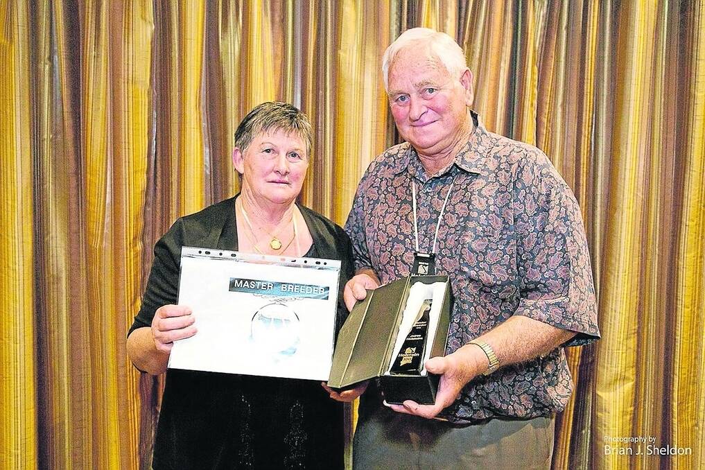 BIG ACHIEVEMENT: Lorraine and Joe Leese, Jolrae Holsteins, Mount Gambier, received a Master Breeder award at the Holsteins centenary dinner at Toowoomba, Qld. Photo: Brian J Sheldon.