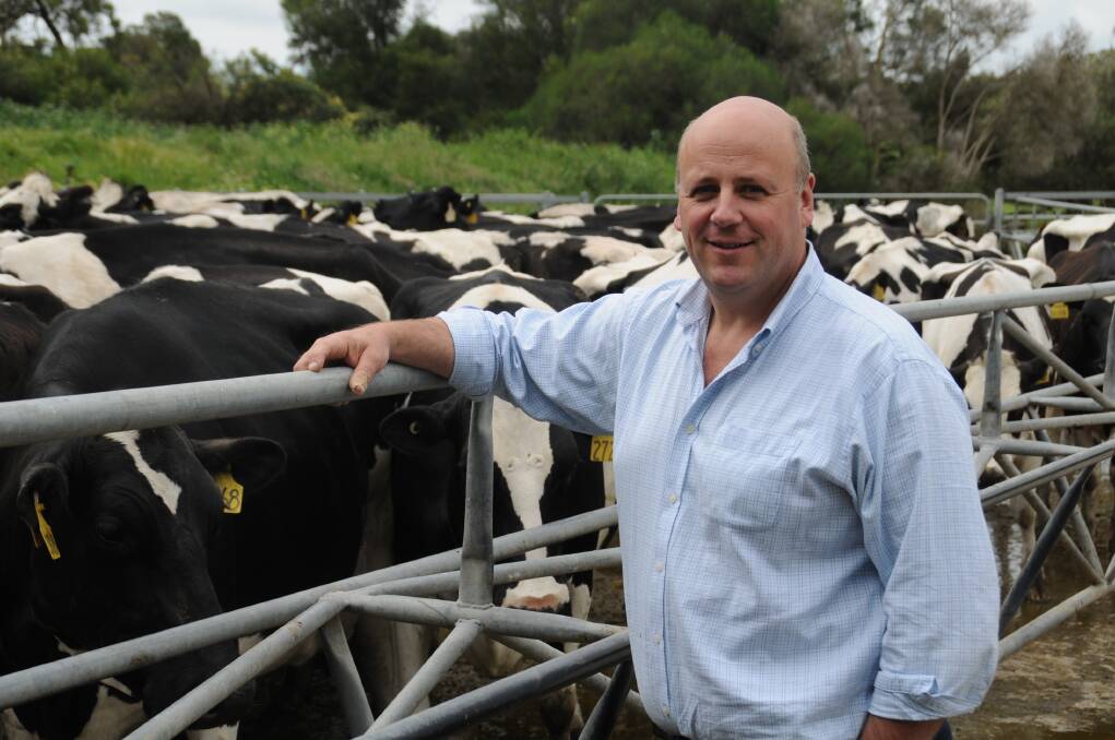 SA dairyfarmer David Basham has been elected as one of four farmer directors on the Australian Dairy Farmers board.