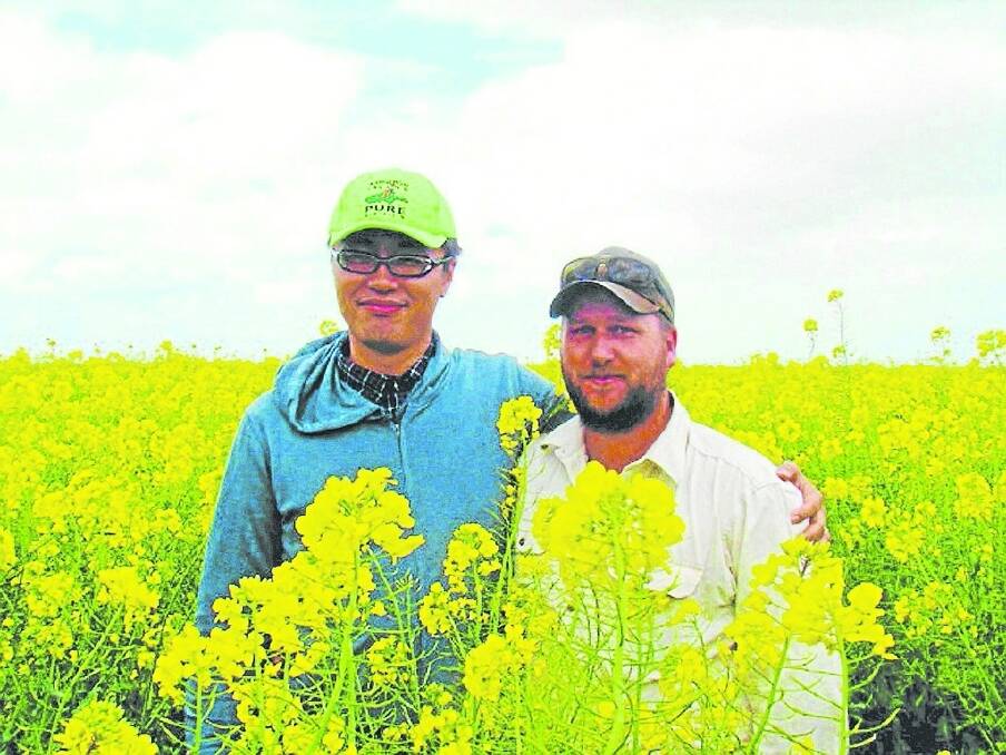 CANOLA CHECK: Visiting Kangaroo Island as part of the annual spring visit of a Japanese delegation was Hirata Industries vice-president Koichi Hirata, pictured with KI Pure Grain chairman Ben Pontifex. Photo: The Islander.
