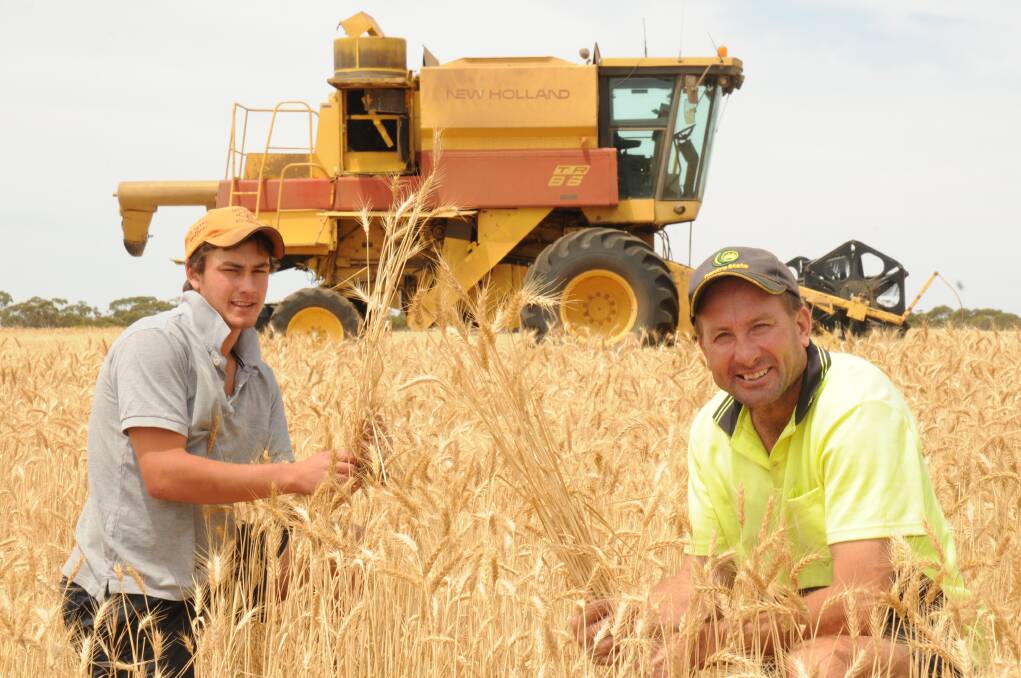 Nick and Mark Jaeschke have been pleased with the performance of their wheat crops this year.