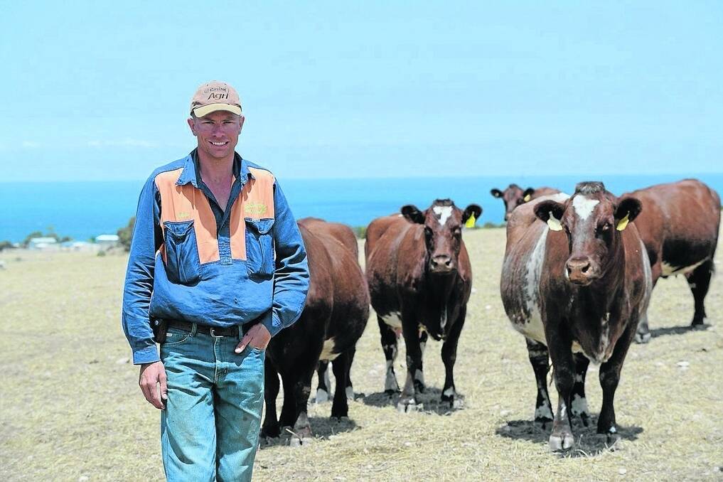 STRONG SUPPORT: Shorthorn Beef SA president Ashley Rowe, Kentash Park Poll Shorthorn stud, Ardrossan, says there is strong support to maintain a multi-vendor sale in SA.