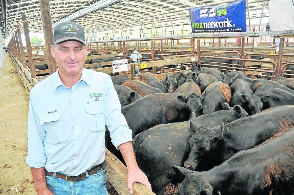DRY SPRING: Naracoorte combined agents chairman Jason Mahney says the lack of spring rainfall forced organisers to bring forward SE weaner sales.