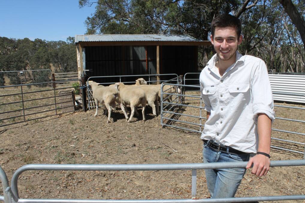 Aspiring grazier and cancer survivor Joshua Garrard, used a Redkite Scholarship to buy six Poll Dorsets from the Newbold stud at Gawler. His aim is to one day own a broadacre sheep and cropping farm in the state’s South East.