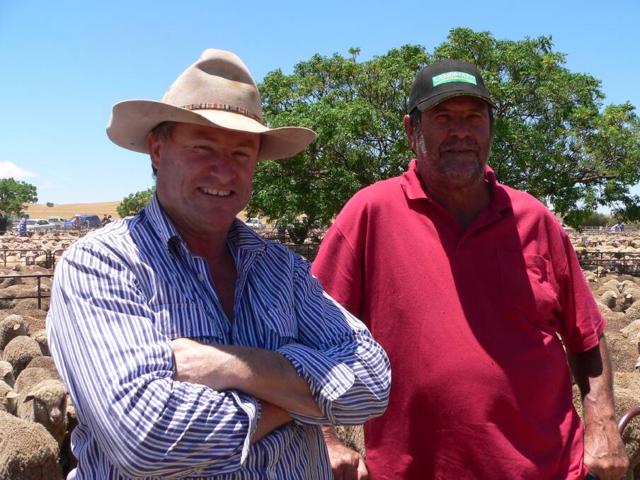 KIMBA's Tom Harris (pictured right, with John McMahon, Buckleboo, at Jamestown market) has similar thoughts to many sheep graziers when it comes to the China-Australia Free Trade Agreement. "I think it may be beneficial, but I guess it's just a case of wait and see," he said. He said the FTA sounded good "in theory