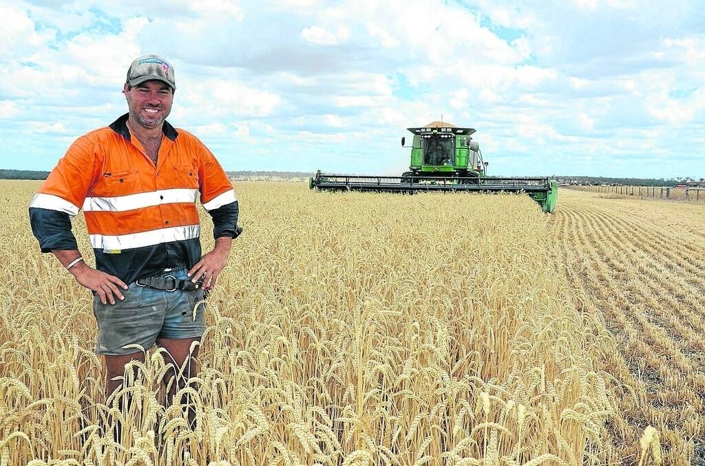 South East cropper Lachie Seears has been pleased with how his crops handled the lack of spring rainfall.