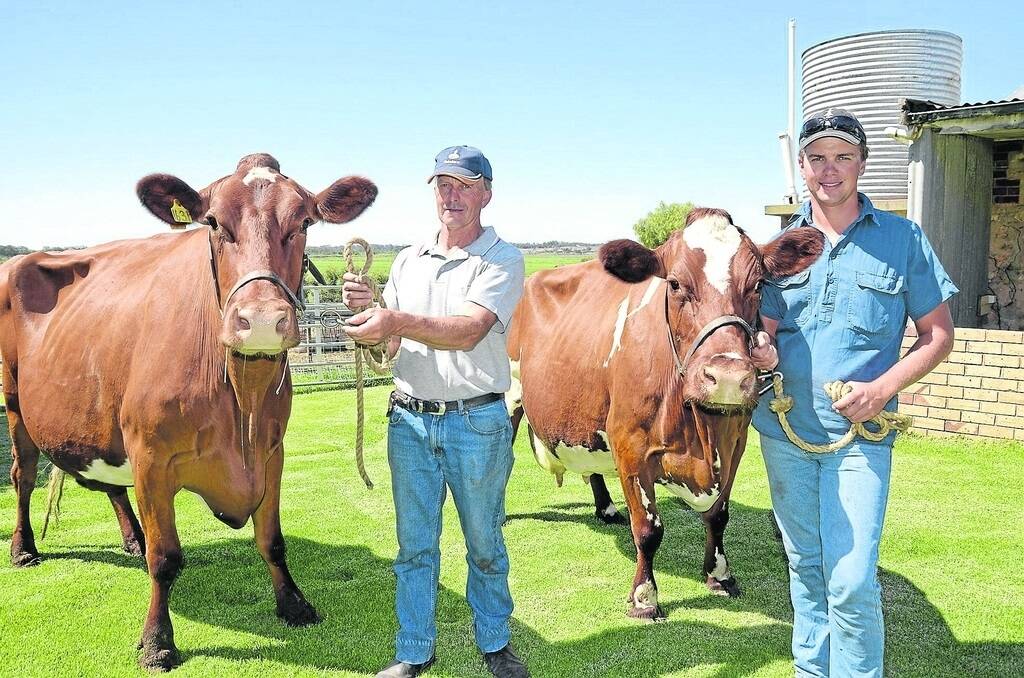 MAJESTIC FAMILY: Murray Bridge’s Ian Mueller holds 2014 SA Illawarra On-Farm champion Glenbrook Poppy and Trent Mueller holds her mother, record-breaking producer Llandovery Poppy.