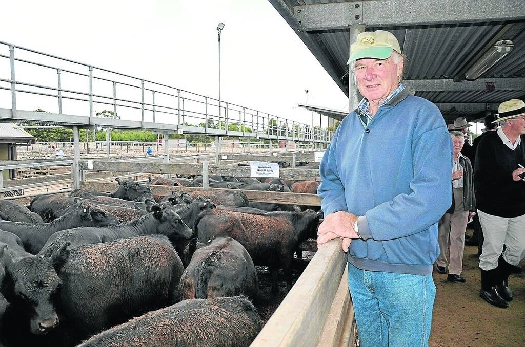 SALE TOPPER: Doug Robertson, Nangana, Grassdale, Vic, sold this pen of 26 Banquet-blood Angus heifers for $2.94/kg, the top price of the Hamilton weaner sale Thursday last week. He was almost speechless after the sale. “I would have been happy even if they had made $2.40-$2.50/kg,” he said.