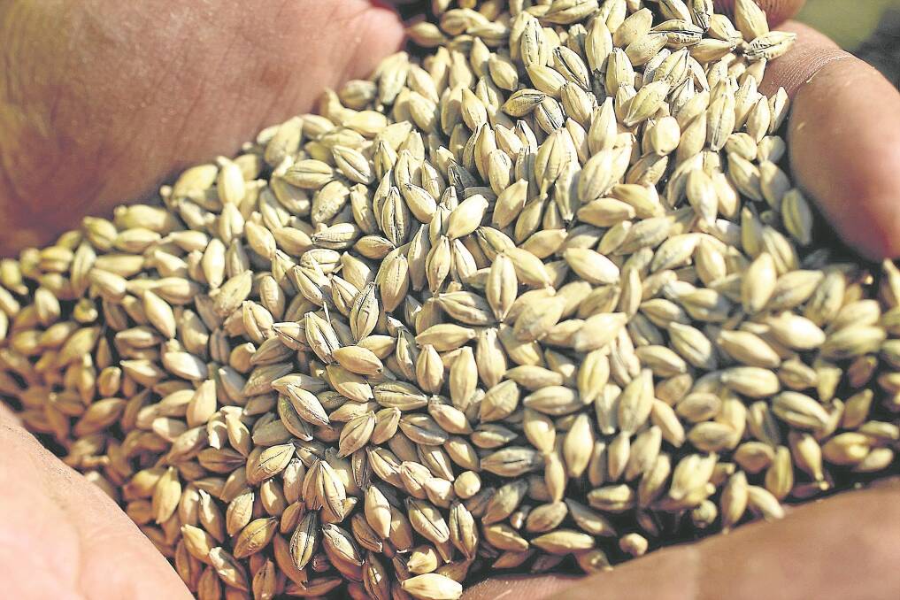 Barley was a standout performer in the 2014-15 harvest, with weather conditions and improved agronomic practices attributed to higher volumes making the malting grade.