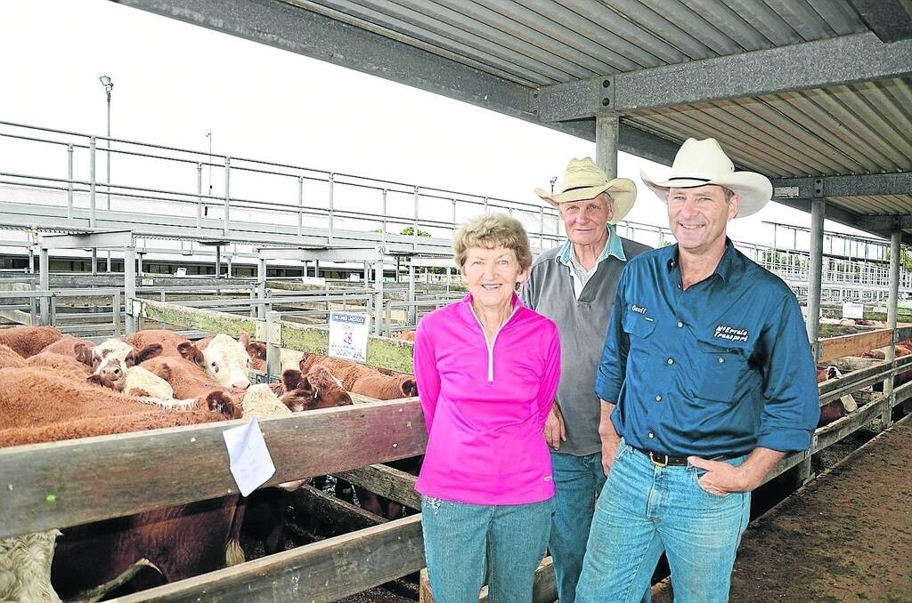 BEST PEN: Roma, John and Geoff McErvale, Cadell, Branxholme, Vic, won the best-presented pen award at the Hamilton, Vic, sale on January 13, for this pen of 28 Simmental steers which weighed 358 kilograms and made $2.35/kg.