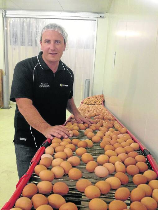 BRIGHT FUTURE: Solar Eggs managing director Jonathan Attard says a deal to supply Bing Boy with eggs is an enormous boost for his company.