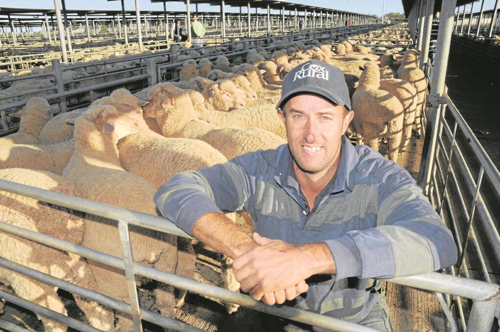 SALE TOPPER: Peter Stockman, Springvale North, Burra, topped the Dublin market on Tuesday. He sold 90 Merino lambs at $160 and said he was very happy with the price.