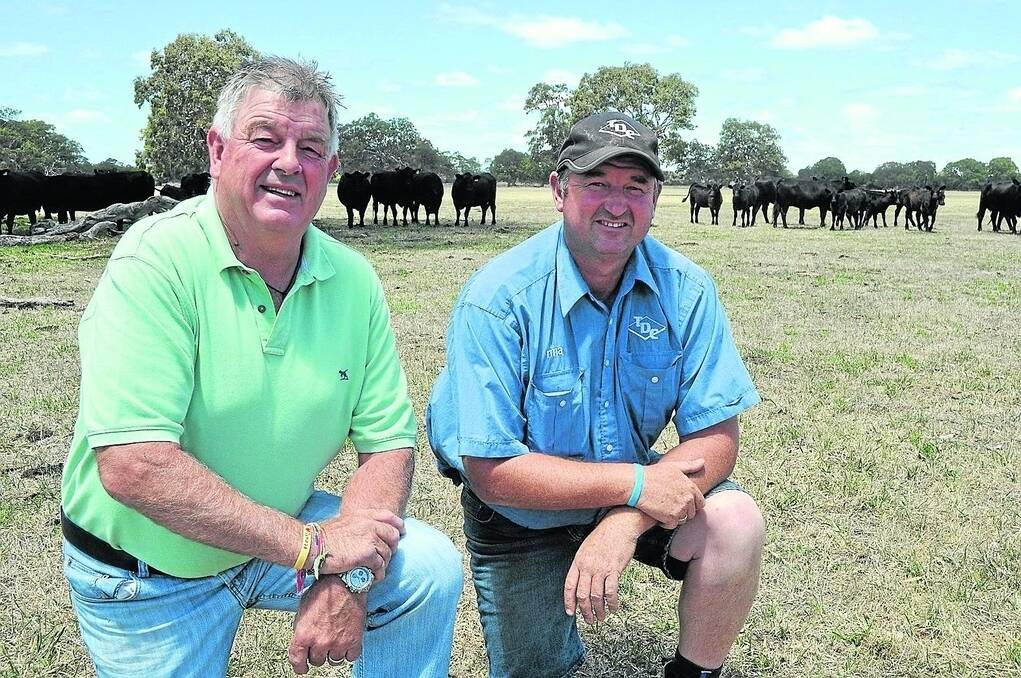 Campsie manager Duan Butler and livestock agent Jamie Gray, Thomas DeGaris & Clarkson, say Angus cattle give them plenty of marketing options.