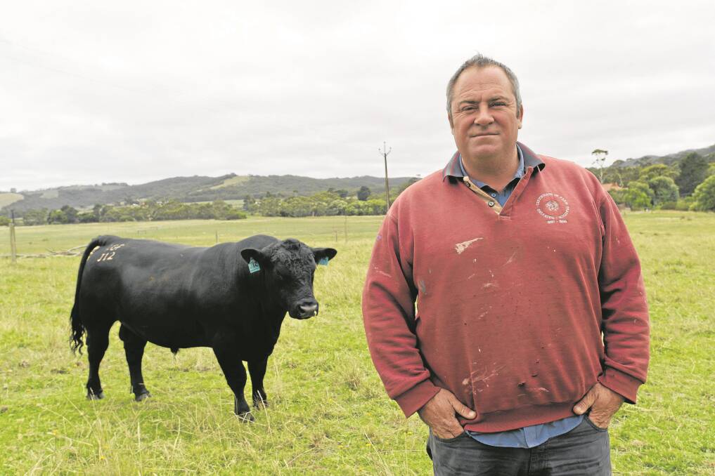 GLEN Fern Angus stud's Gregg Nash is one of seven new or returning studs that will open its gates for the Ruralco Insurance 2015 SA Beef Field Days that start tomorrow, February 6, in the Mid North and Yorke Peninsula and conclude on Tuesday, February 10 in the Lower South East. Gregg says debuting in the field days on Sunday is a great opportunity to get beef producers looking at his stud herd.