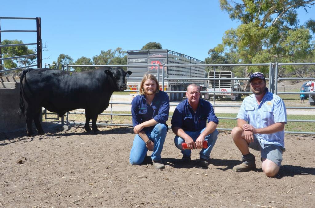Travis and Rob Savage, Lochaber, paid the equal $10,000 top for Roseleigh J22. They are with Mat Cowley, Roseleigh Angus, Pinnaroo.