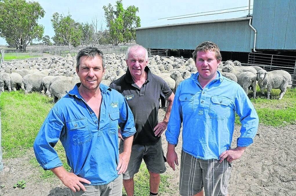 Sam and brother Jock with their father Jim Thring, Blue Hills Merino stud, Telopea Downs, Vic with the stud flock which will be dispersed on-property on Wednesday, March 4. The family, which is selling the property, will also offer about 5000 commercial ewes.