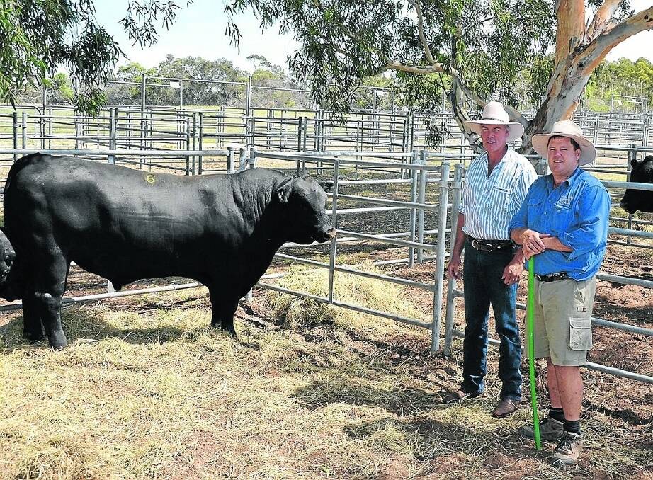 John Woodward, Moolaboola Angus, Stoneyford, Vic, and Bull Oak Well principal Heath Nickolls with the $7500 top-price bull.