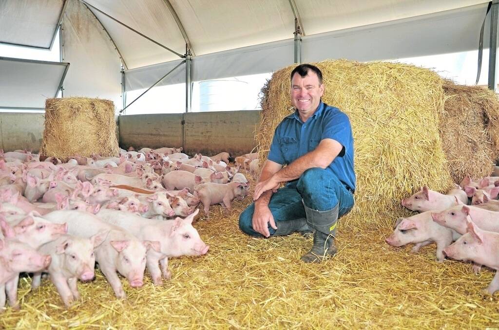 Pork SA chairman Matthew Starick, Punthari, says the number of raids on SA piggeries in the past year is a concern.