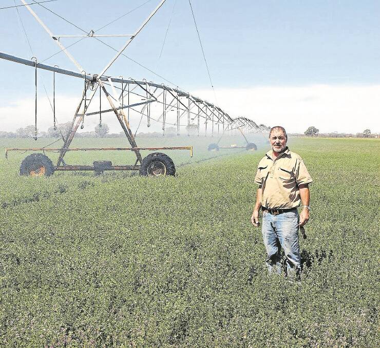 Dave Tarca, Vernon Park, Frances, in one of the irrigated lucerne circles that produce hay and small seeds, plus a complementary role in their prime lamb production program, finishing lambs quicker.