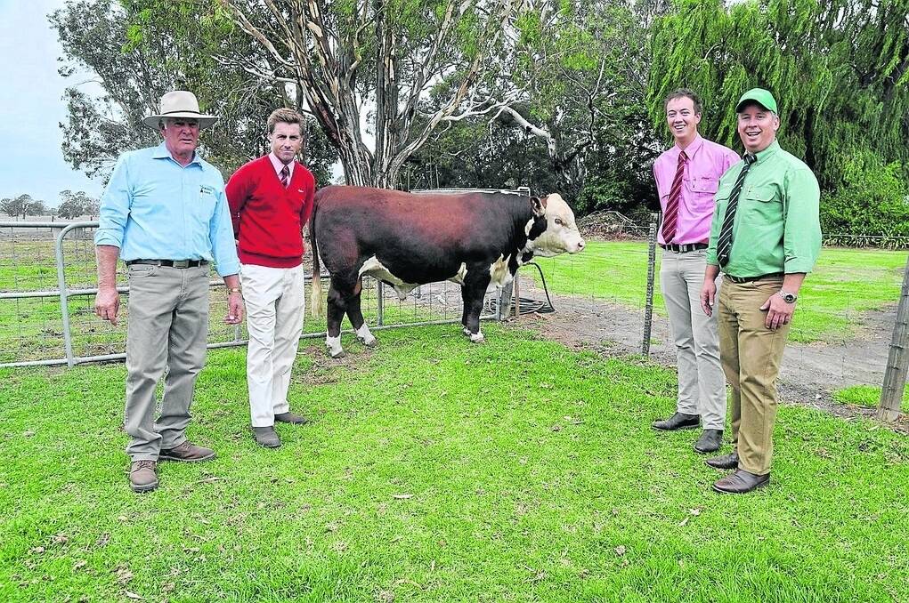 CROWNING GLORY: David Bennett, Yambro, Frances, with Elders Naracoorte livestock manager Tom Dennis who bid on the $9500 top-price bull Yambro Conrad J34 for Crown Point Pastoral Company, Alice Springs. Also pictured are auctioneers Elders’ Ronnie Dix and Landmark’s Gordon Wood.