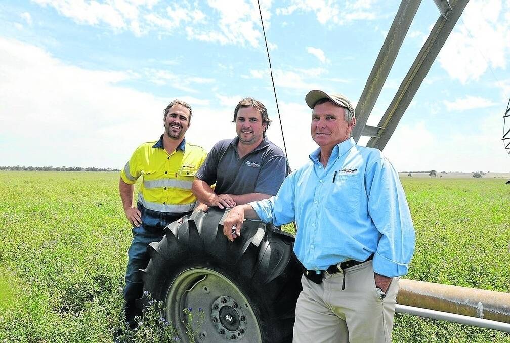 Brendon Smart in a crop of irrigated lucerne, right, with sons Ryan and Damien.