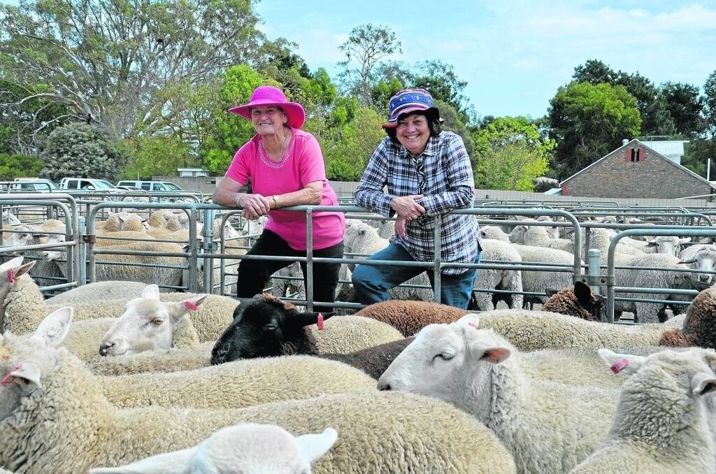 LUCKY LADIES: Moira Anderson, Karoonda, and Trish McReynolds, Cromer, were very excited to sell their 14 Dorper-cross lambs at $112 to Thomas Foods International at the Mount Pleasant market last Wednesday.