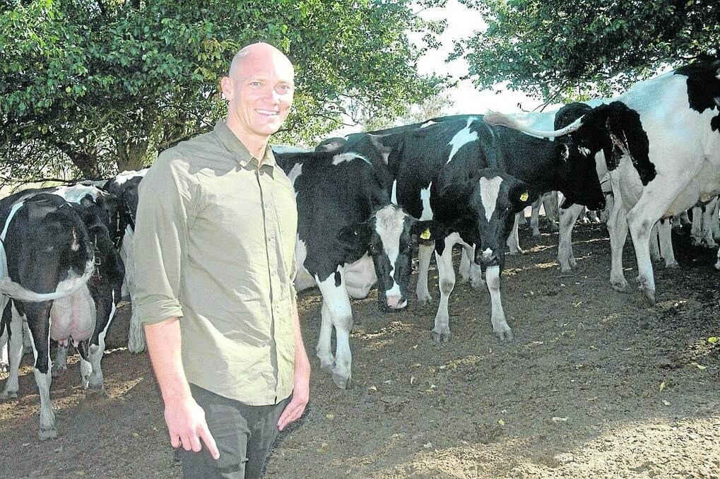 UDDER DELIGHT: Legendairy ambassador Michael Klim gets up close to cows on a Meadows farm tour.