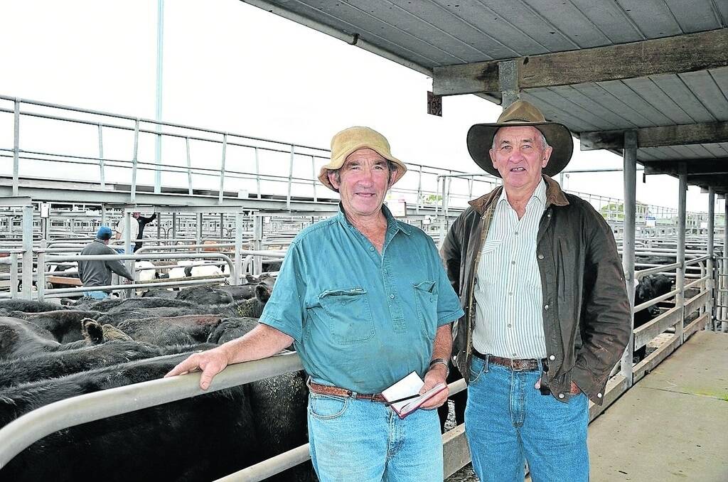 Gavin Johns, Millanda Estate, Mount Gambier, sold 20 Angus heifers, 357kg, at $855 or $2.39/kg at the Mount Gambier monthly store cattle sale on Friday last week. He is with fellow local grazier Ron Jones, Mount Gambier, who snapped up seven steers at $745.