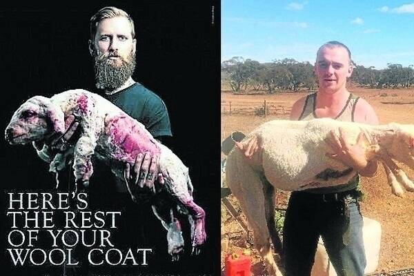 Adelaide-born guitarist Jona Weinhofen holds a fake lamb in a poster produced by PETA for its campaign against the wool industry. SA shearers Sean Harrison and Trent Higgins took this photo (right) in response to the campaign they say falsely depicts the Australian wool industry. 