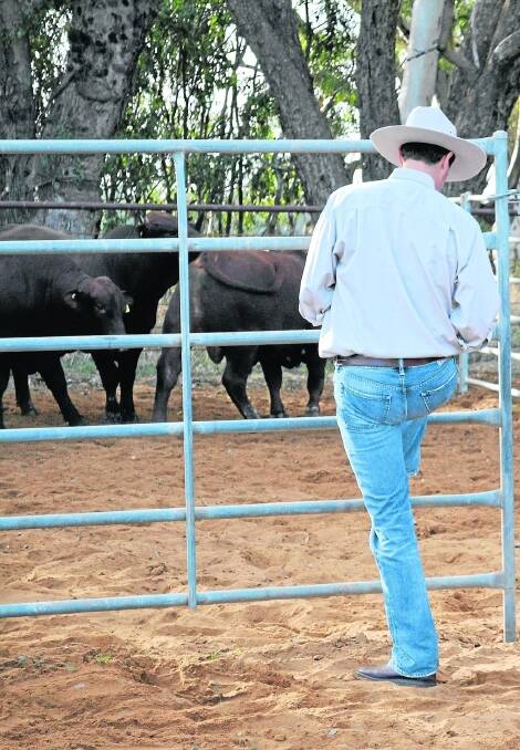 S. Kidman & Co livestock manager Will Abel-Smith - great-grandson of Sir Sidney Kidman - is understood to be a strong supporter of the sale.