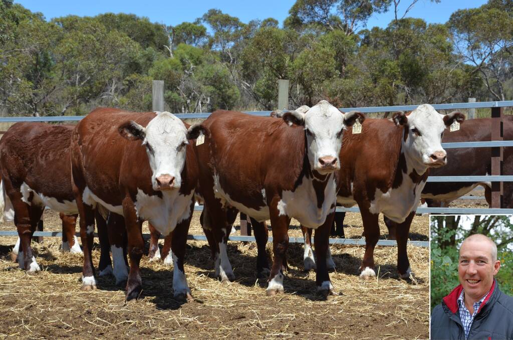 Andrew Donoghue has been named the new Herefords Australia commercial development manager.