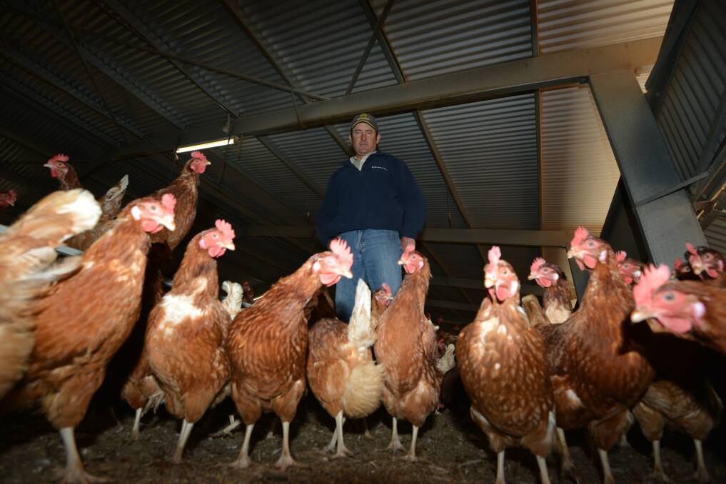 CODE RED: John Rohde,Free Range Eggs, believes there needs to be a clear code on what constitutes free range.