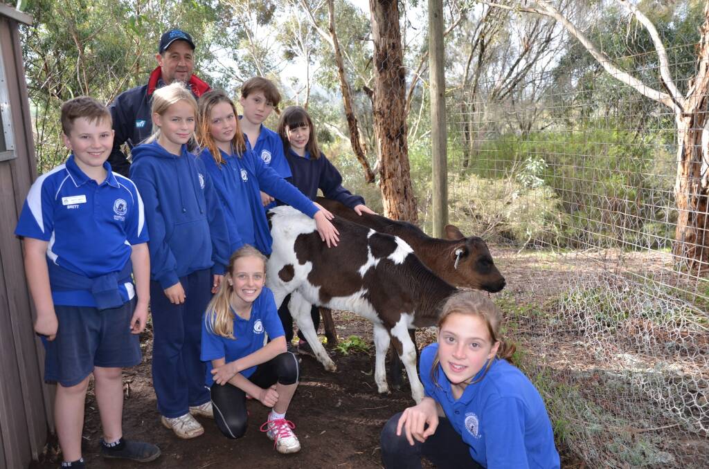 Gumeracha students Brett Smith, Abbie Foster, Abby Kamn, Harry Hutchinson, Evie Parker, Katelyn Jones and Claire Hutchinson welcome the new arrivals with dairyfarmer Rick Gladigau.