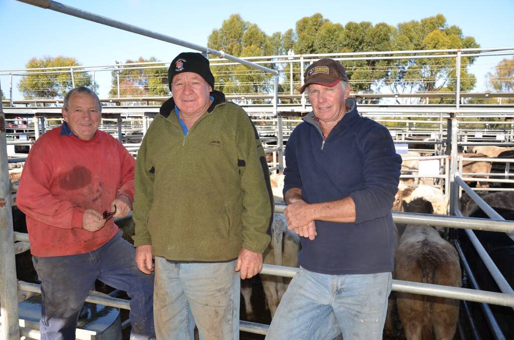 Bill Wenske, Flaxley, Graham Fischer, Hartley, and Terry Steed, Glen Albyn, Strathalbyn, at the sale. Mr Steed sold 13 Murray Grey heifers for $590.