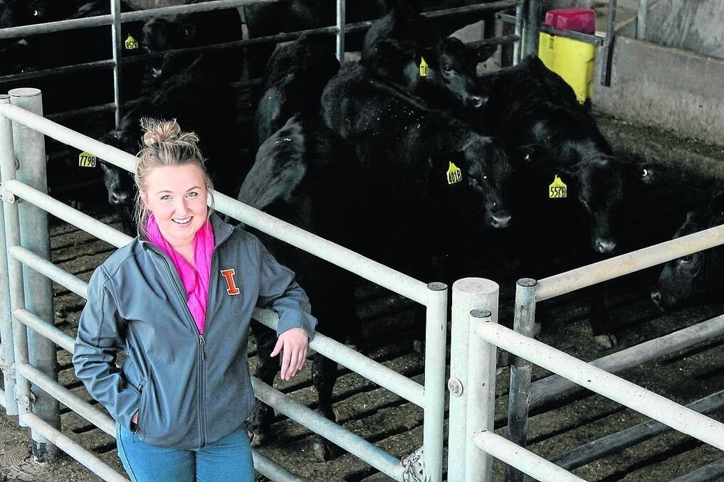 Kate Fairlie, Lanark Angus stud, Mount Gambier, has just completed a semester at the University of Illinois after winning an Angus Youth scholarship. It included being on the University’s livestock judging team.