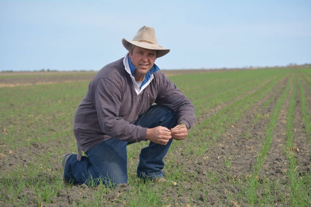 Nap Nap Station manager, Hamish Cullenward, inspects an irrigation bay sown to barley