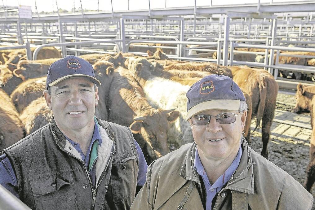 Keith Higgins, Patanga Pastoral Co, Avenue Range, and Mike Newton, Miller Whan & John, Kingston SE, were over the moon after breaking the $3/kg barrier with "a great price for coloured cattle". Mr Higgins sold 44 South Bundarra-blood Shorthorn steers, with the top pen, 391kg, making $3.04/kg or $1190 and the second draft making $3.01/kg or $1130.