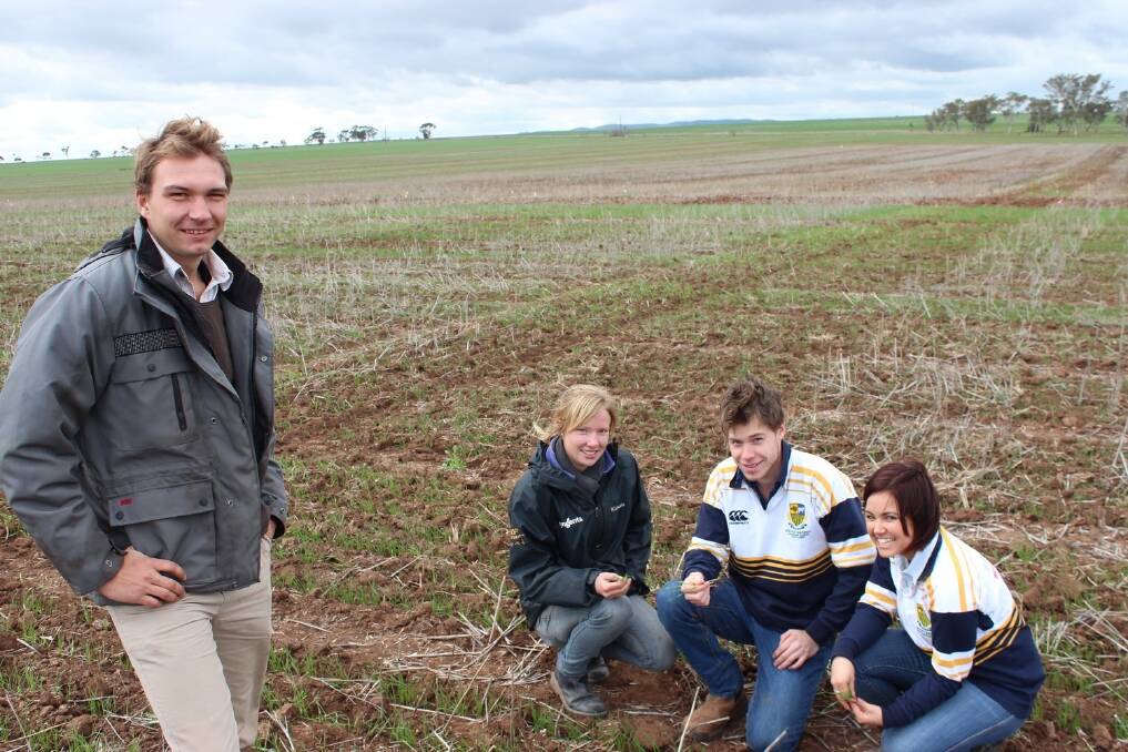 Peracto SA staff Nathan Paech and Stephanie Lunn with University of Adelaide students David Mates and Jess Florance at the Peracto SA crop competition site at Roseworthy.