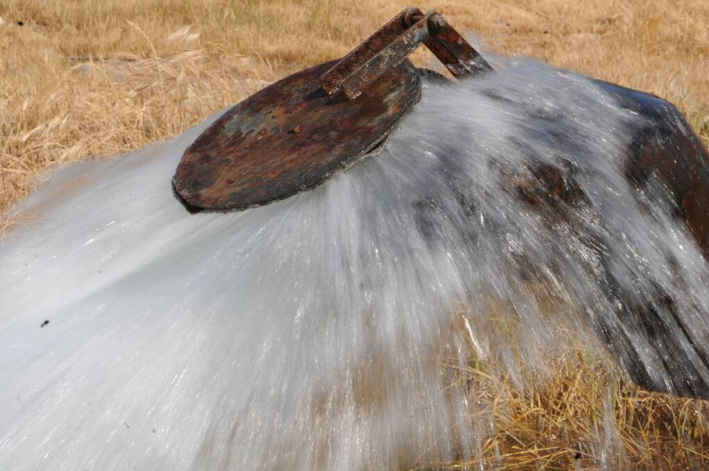 Many producers across SA are struggling with high water prices, according to the SA Liberals.