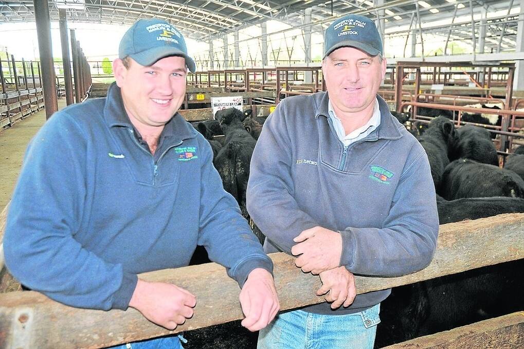 Pinkerton Palm Hamlyn & Steen agents Craig Gill and Jason Mahney in the $1210 Naracoorte price-toppers, steers sold by one of their clients Farmers Leap, Padthaway.
