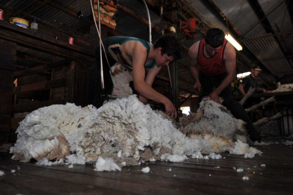 The Moseys are happy to see the wool market on a high.