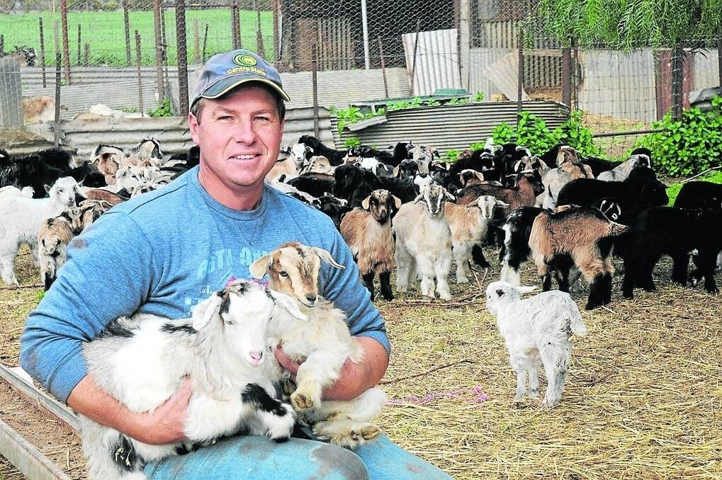Riverlight Goats' Paul Blacket, Mallala, says goat meat is becoming increasingly popular.