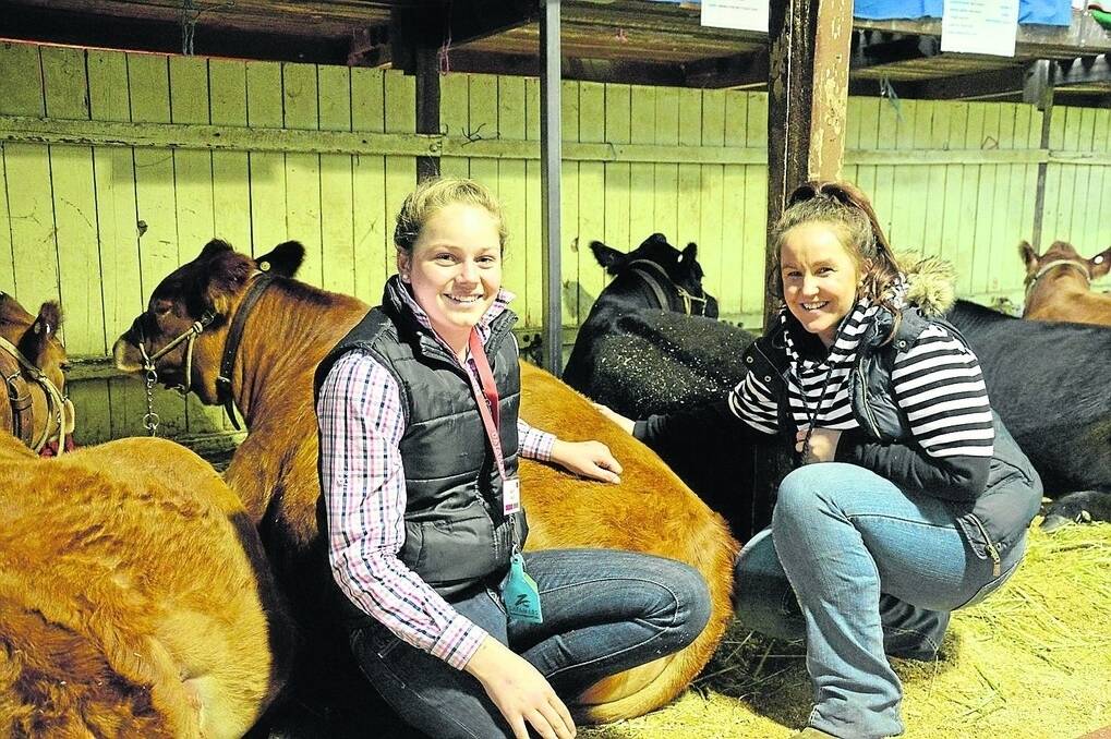 Macey Inglis, Bordertown, was encouraged to take part in the SA Junior Heifer Expo by Romy Bennett, Naracoorte.