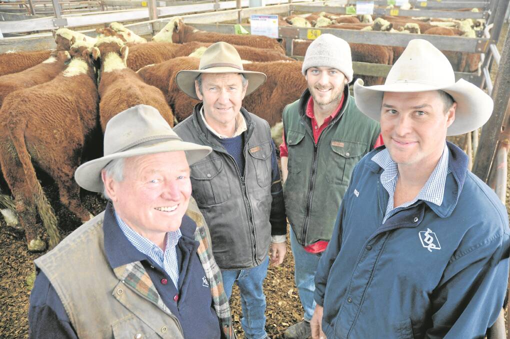 TDC’s Peter DeGaris and Ashley Braun (at front) with clients Michael and Peter McCourt, Woakwine Station, Beachport, in the $1615 sale-topping pen. The 22 August/September 2013-drop, weighing 476kg, had been bought as weaners in March last year from NSW.