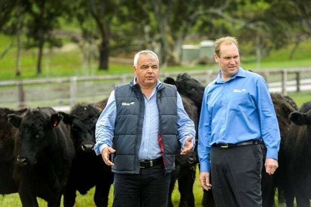  Thomas Foods International’s livestock manager Petar Bond and beef sales manager Ben Michalik.