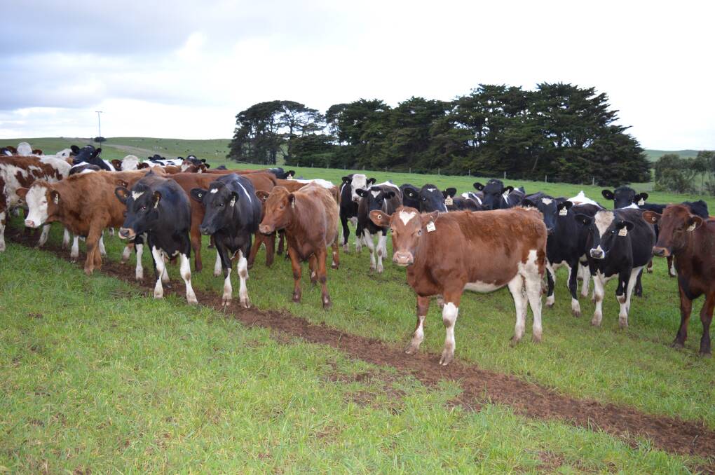 South East dairy properties are in the sights of investors.