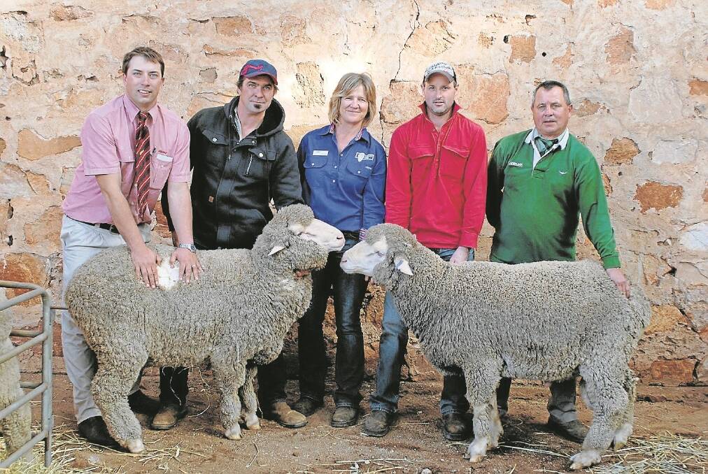 Morley stud’s two top-price rams are presented by Mick Noble, Elders stud stock manager, Cleve; Mark Siviour, NW&AK Siviour Farming Partners, Murdinga, with tag 14375; Morley stud principal Leonie Mills; Shannon Larwood, PN&CA Larwood & Co, Buckleboo, with tag 14357; and Brian Harkness, Landmark branch manager Cleve.